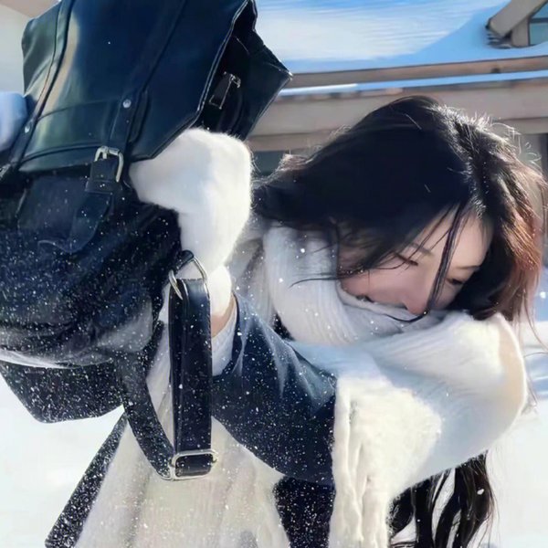 泰山 海报