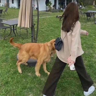 终极囚禁 海报
